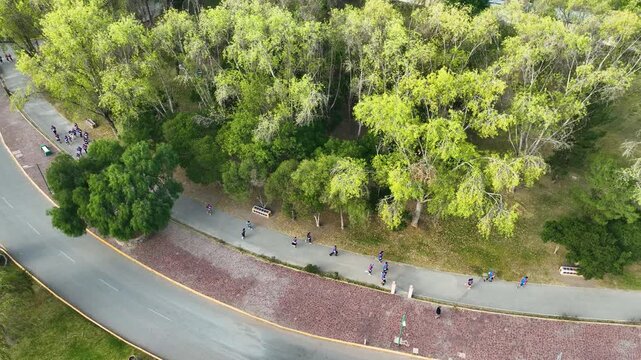 Carretera principal en zona urbana con espacio para peatones
