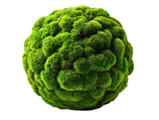 Mossy Orb: A close-up shot of a spherical orb covered in vibrant green moss, showcasing the texture and natural beauty of this unique plant form.