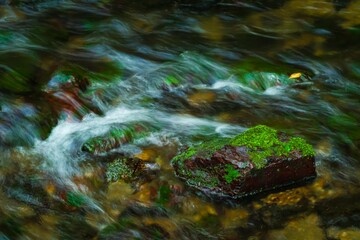 沢に納涼を求めて