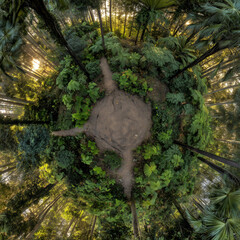 The middle of the jungle.