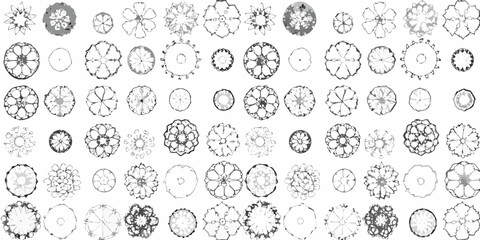 Collection of diverse hand drawn top down tree canopy illustrations in black and white © Ripan