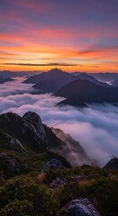 Fototapeta premium 雲海に染まる山嶺