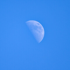 昼間の月
