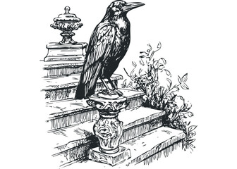 Detailed ink drawing of a raven perched on ornate stone steps with foliage. Vector hand drawn illustration