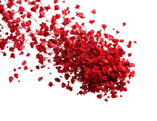 Red flower cluster explosion