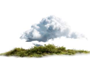 A puffy white cloud above a patch of green grass