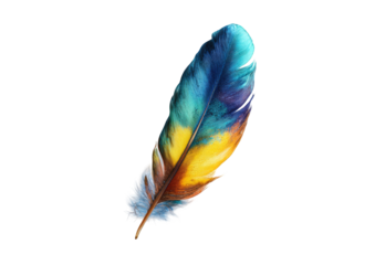 Vibrant feather in a variety of colors against black