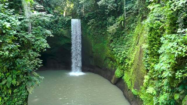 Drone aerial view of Tibumana waterfall, located in Bangli Village, Bali, Indonesia with a high and wide waterfall in the middle of a green and dense tropical forest.