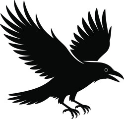 Obraz premium Black bird in flight silhouette flying