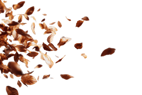 Brown pieces scattered against black background