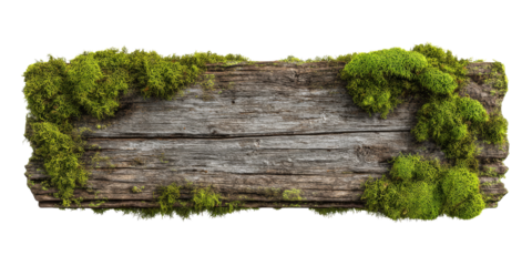 Weathered wooden plank covered with vibrant green moss, showcasing natural and rustic aesthetic. This evokes sense of tranquility and connection