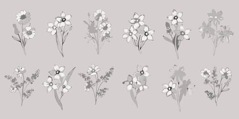 Collection of delicate floral illustrations in a minimalist grayscale watercolor style on a neutral background