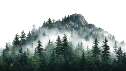Misty mountain peak above forest