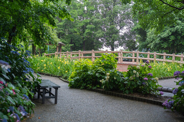 公園のベンチと橋と花