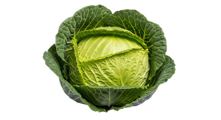 Obraz premium Vibrant fresh green cabbage head, perfect for healthy eating campaigns, vegan recipe blogs, organic produce promotions, grocery store flyers, and plant-based diet content,