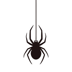 Silhouette of a Spider Hanging From a Thread Great Halloween Imagery