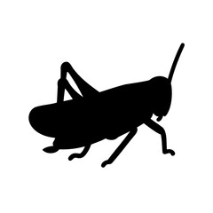Detailed silhouette of a grasshopper insect with distinct features isolated on white