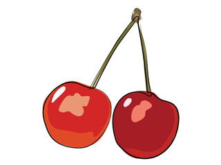 Cherry in continuous line drawing on a white background.