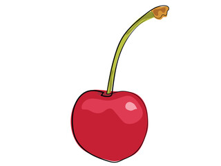 Cherry in continuous line drawing on a white background.