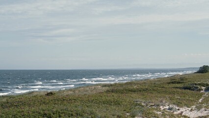 Serene coastal seashore features gentle ocean waves and vibrant flowering bushes. Peaceful daytime scene captures natural beauty and tranquility.
