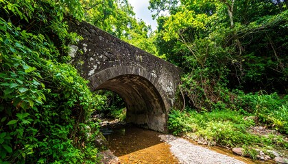 Lush forest with stone arch bridge over creek