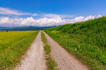 夏空の下に広がる気持ちいい喜多方地方の田園風景