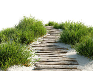 Wooden path through tall grass on sand dunes