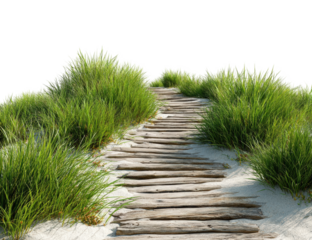 Wooden path through tall grass on sand dunes