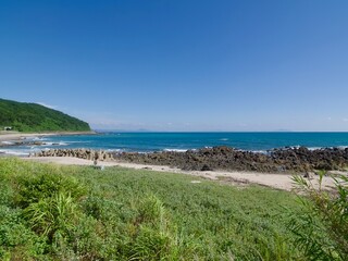 緑と青が織りなす海岸風景