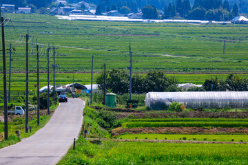 夏空の下に広がる気持ちいい喜多方地方の田園風景