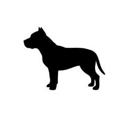 Obraz premium black panther vector