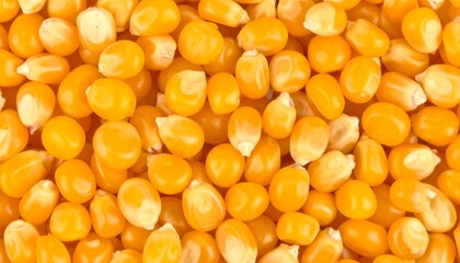 Close-up of many yellow kernels