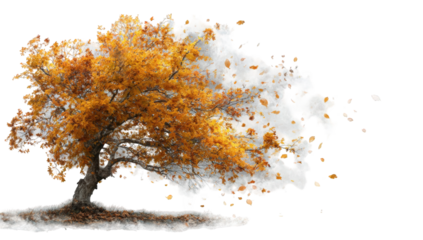 Autumnal tree with falling leaves