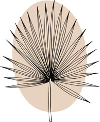 ~temp_image_Dried_Palm_Leaf_Silh_seed64849_1756314998136_1