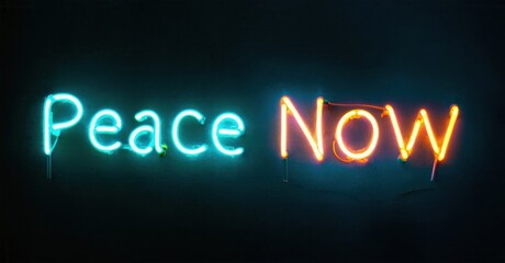 Neon sign displays message Peace Now. Blue, orange lights illuminate dark background. Simple typography, hopeful sentiment conveyed.