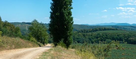 large summer panorama in the foothills of the Western Caucasus: dusty country road with tall poplar on the side, green hills and blue peaks on the horizon on a sunny day