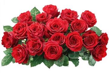 Fototapeta premium Lush bouquet of deep red roses with green leaves, isolated on white