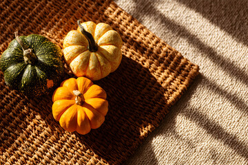 Fototapeta premium Three small pumpkins on a woven mat in sunlight.