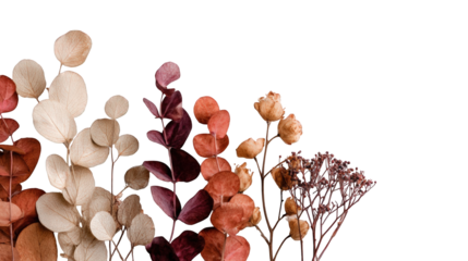 Arrangement of dried, muted colored leaves and branches