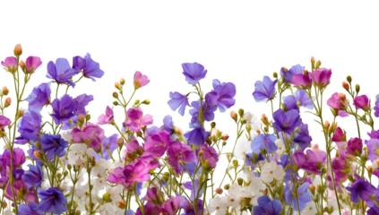 Colorful flower arrangement (1)