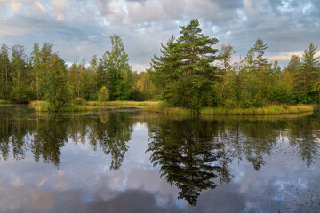 Walking route through the Sestroretskoye Boloto (Sestroretsk swamp) State Nature Reserve on a sunny summer day, Russia, Saint Petersburg, Kurortny District, Beloostrov