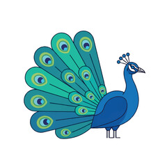 Elegant Peacock with Vibrant Feathers.