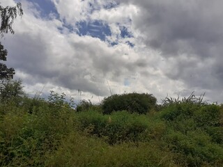 Obraz premium The natural environment of rural Thailand