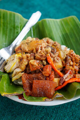 Nasi Gudeg Koyor, captured on September 5, 2025. Traditional Javanese rice dish with sweet young jackfruit stew and tender beef tendon, authentic Indonesian culinary heritage