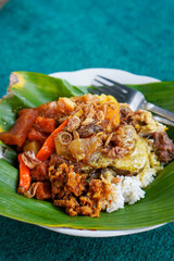 Nasi Gudeg Koyor, captured on September 5, 2025. Traditional Javanese rice dish with sweet young jackfruit stew and tender beef tendon, authentic Indonesian culinary heritage