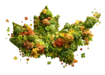 Autumnal leaf arrangement in a map-like form