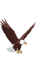 Obraz premium Majestic Bald Eagle in Flight.