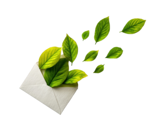 Green leaves emerge from an envelope