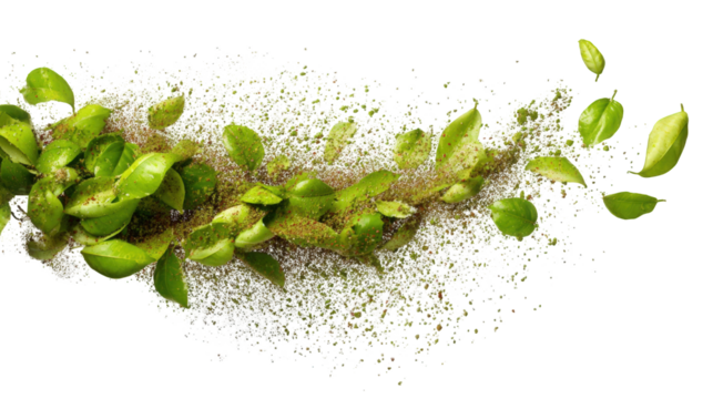 Abstract representation of plant growth with scattered particles