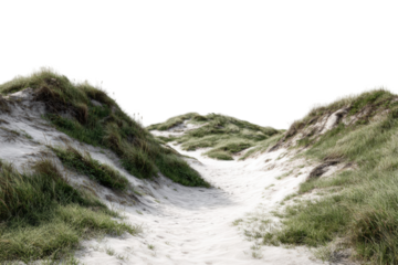 Sandy path between grassy dunes